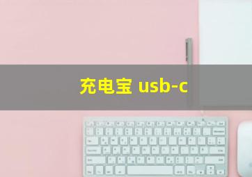 充电宝 usb-c